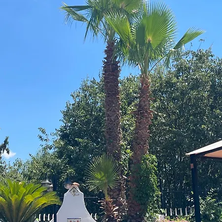Aladin Villa